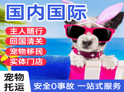 玉树巴塘机场空运国际宠物托运 【国